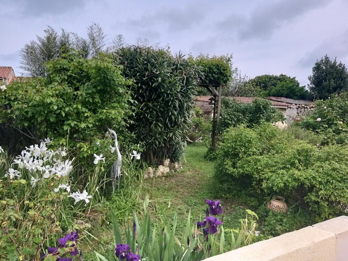 Maison Althea Rosea - 3 Chambres Et Piscine Nieulle-sur-Seudre ภายนอก รูปภาพ