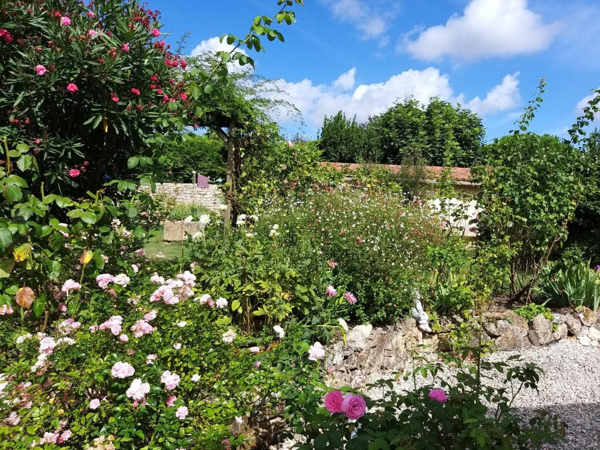 Maison Althea Rosea - 3 Chambres Et Piscine Nieulle-sur-Seudre ภายนอก รูปภาพ